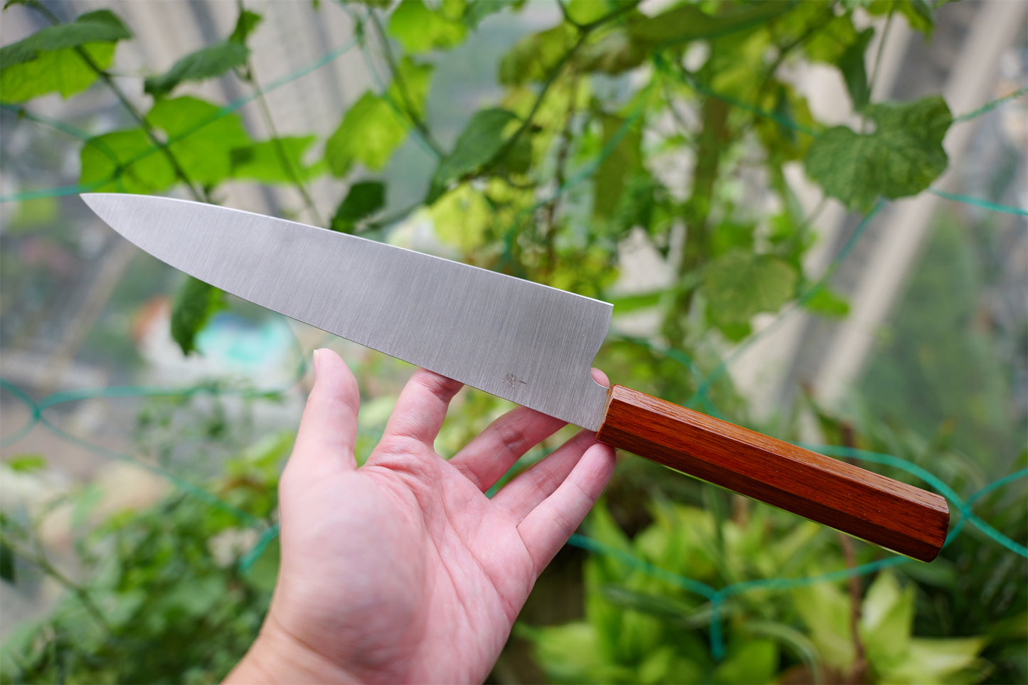 Ultra-thin 230mm Laser Vanax SC Gyuto