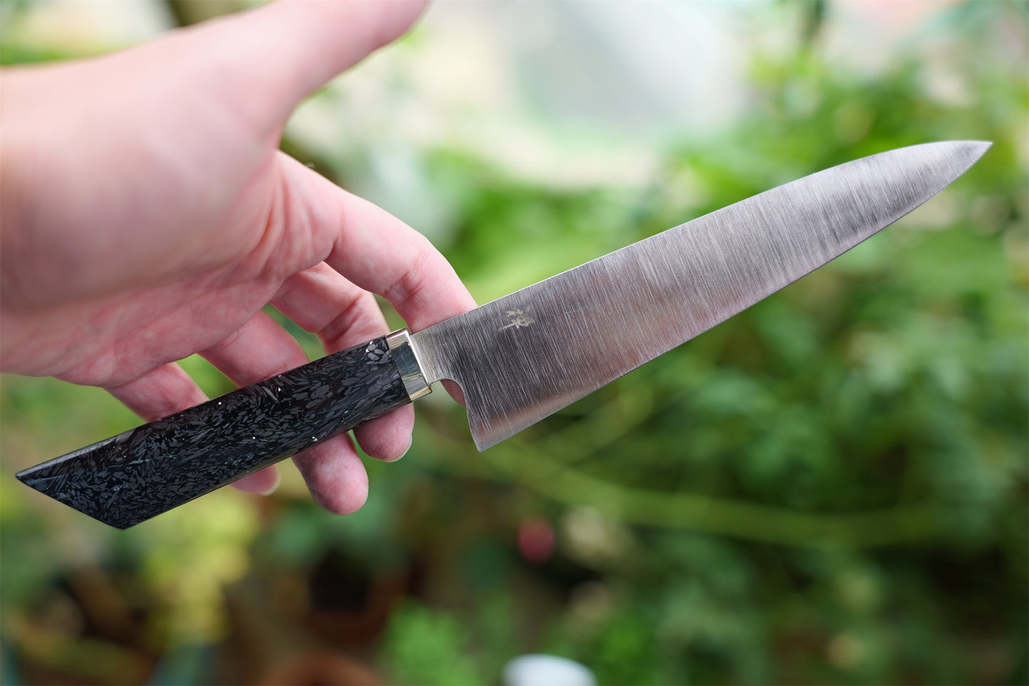 REX121  155 PETTY KITCHEN KNIFE
