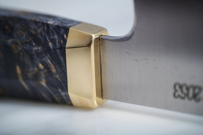 New version ASP2053 GYUTO